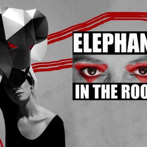 Fringe Fridays: ELEPHANT in the room - Eva Layla Akiska - GEANNULEERD